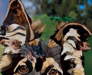 Unique Personalized Dog Portraits 2 small