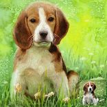 Made To Order Pet Painting! Your Photos Can Become Oil Or Watercolor Portraits 2 small