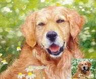 Made To Order Pet Painting! Your Photos Can Become Oil Or Watercolor Portraits 5 small
