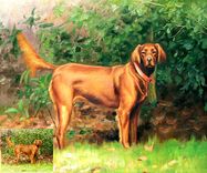 Made To Order Pet Painting! Your Photos Can Become Oil Or Watercolor Portraits 6 small