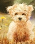 Paint Your Photos And Ideas! Custom Portraits Of Baby, Wedding, Pet, Or Landscape! 3 small
