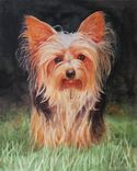 Watercolor Dog Portrait! Customize Anything For Any Occasion. All We Need Is A Photo And An Idea 1 small