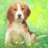 Watercolor Dog Portrait! Customize Anything For Any Occasion. All We Need Is A Photo And An Idea 4 small