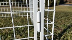 Custom Welded Wire Dog Crate With Powder Coat Finish 5 small