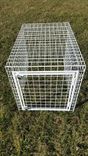 Custom Welded Wire Dog Crate With Powder Coat Finish 3 small