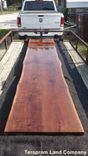 13' Long, Live Edge Walnut Bar Top 1 small