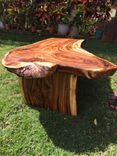 Monkey Pod Live Edge Bench (Salvaged) 4 small