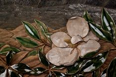 Magnolia Landscape 2 small