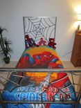 Spider Web Headboard & Footboard 3 small
