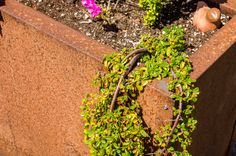 Weathering Steel Planters 2 small