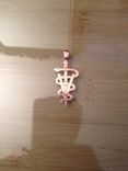 Alec's Veterinarian Caduceus Rose Gold Pendant 3 small