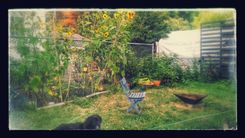 Triangular Steel Fire Pit 2 small