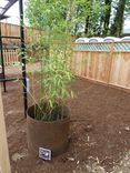 Patio Garden Planters And Bench 2 small