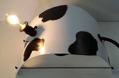 Spotlight Designer Custom Made Table Lamp Complete With Head And Tail 3 small