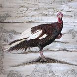 Heirloom Turkey Acrylic Painting On Re-Purposed Wood Panels 2 small