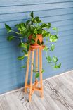 Plant Stand 1 small