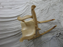 Exotic Rocking Chairs 3 small