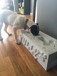 Custom Concrete Dog Bowl 2 small