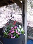 Hanging Plant Bracket 1 small