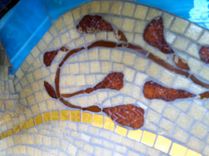Mermaid Mosaic: Mother Ocean 6 small