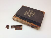 Conservation Project 1 small