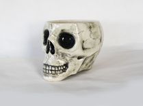 Skull Cup 2 small