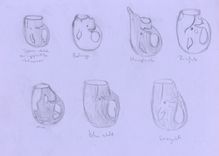 Whale Mugs 12 small