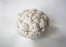 Vegetable Shaped Cremation Urn 2 small