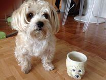 Mug That Looks Like Your Pet 1 small