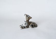 Cat Or Dog Salt Shaker 1 small