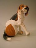 Beagle — Bodie 1 small