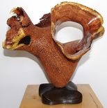 Carved Vessels 4 small