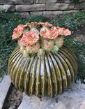 Garden Stoneware Sculptures 5 small