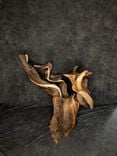 Triple Head Juniper Taxidermy Pedestal 5 small