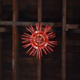 Whisk Pendant 5 small