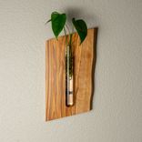 Hanging Propagation Vase 6 small