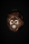 Owl Wall Art 1 small