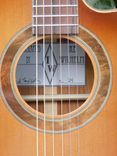 Amazon Rosewood Back And Sides With A Cedar Top Made By Luthier Ike Wilhelm 2 small