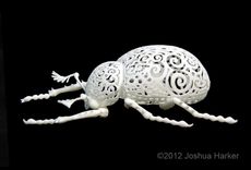 "Coleoptera Filigre" Beetle 3 small