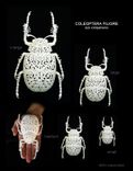"Coleoptera Filigre" Beetle 5 small