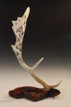 Sea Dance ~ Hand Carved Shed Antler 1 small