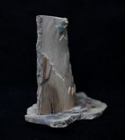 Ice Bear ~ Hand Carved Ancient Mammoth Ivory Tusk Section 3 small