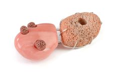 Coral Simulachrum Brooch 1 small