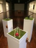 Gallery, Business Or Museum Display Pedestal Boxes 3 small