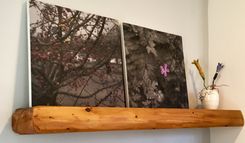 Rough-Hewn Floating Shelf 1 small