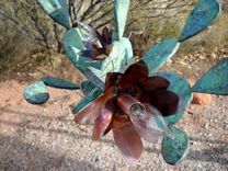 Copper Cactus Chandelier 3 small