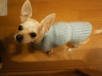 Doggy Sweaters Teacup Chihuahua 2 small