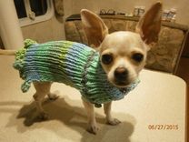 Doggy Sweaters Teacup Chihuahua 6 small