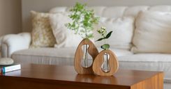 Propagation Vase - California Dreamin’ 1 small