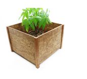 Woodwarmth Plant Stand 4 small